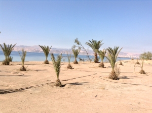 AQABA